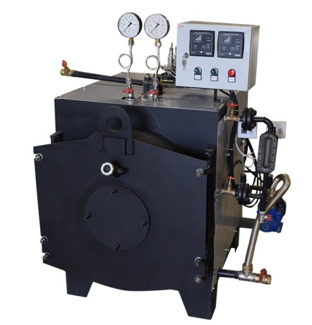 ОБНИТ ТАЯН 200 - парогенератор газовый