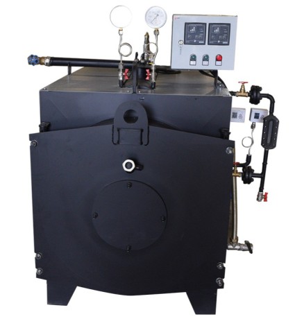 ОБНИТ ТАЯН 300 - парогенератор газовый