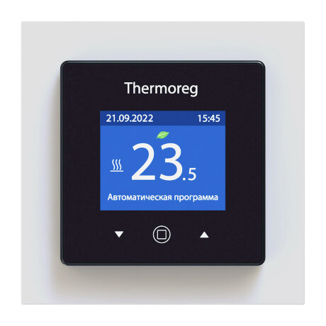 Thermoreg TI-970 - терморегулятор программируемый с цветным экраном