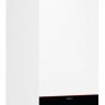 Viessmann Vitodens 100-W B1FK 19 - котел газовый двухконтурный