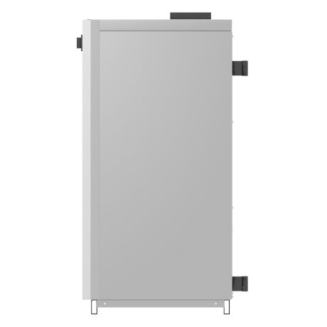 Лемакс Classic-40W - котел газовый двухконтурный