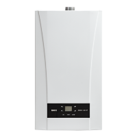 Baxi Eco Nova 31F - котел газовый двухконтурный
