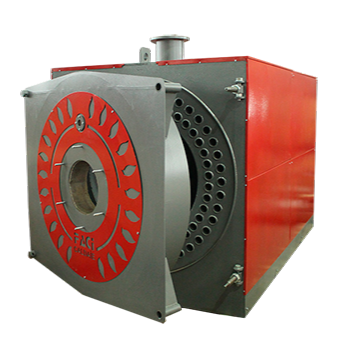 FACI GAS GRANDE 3000 - котел газовый одноконтурный